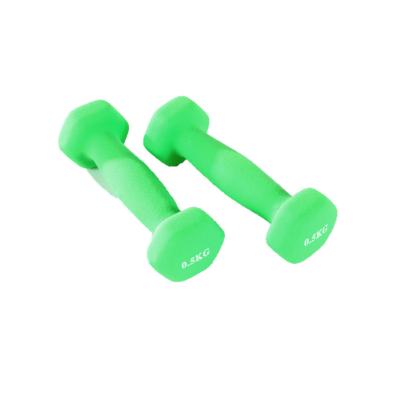 China Wholesale Home Use Factory Price Gym Dumbbell Cast Iron Colored Dumbbell Set For Women And Kids for sale