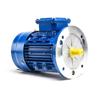 China Copper Wire 380v 50hz 3 Phase AC Induction Motor Electric Motors 2.2kw Motor Motor for sale