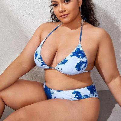 China Plus size 2022 fashion women swimwear three pieces set plus size bikini top plus size swimwear for sale