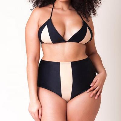 China Breathable two-piece swimsuits plus size swimwear for women wholesale 2021 new bikini for sale