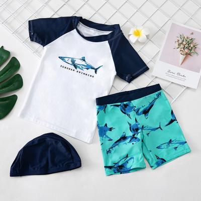 China 2022 Baby Boy Kids Breathable Swimwear Custom Logo Shark Printing Surfing Swimsuit Suit for sale