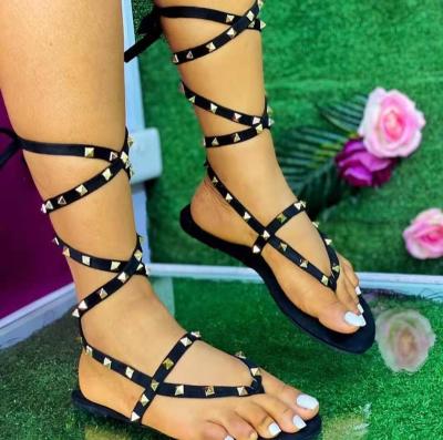 China CUSHIONING New Style Summer Cross Strap Tie Up Rivet Sandals Women Flat Sexy Lace Up Sandals Flip Flops for sale