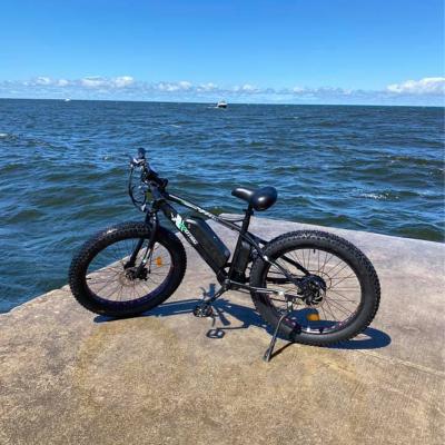 China 2022 fat tire 36v 48v 350w 500w 750w 12.5ah hot sale aluminum alloy ebike ecotric mountain long distance electric bicycle with CE for sale