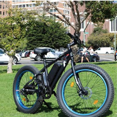 China Fat Ebike Ecotric most popular electric mountainbike 26inch fly electric bike for adult for sale