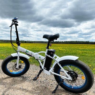 China City Folding Cheap Price Ecotric 20 Inch 350W 500W 750W 36V 48V 12.5AH 7 Speed ​​Folding E Bike Fat Tire Electric Bike for sale