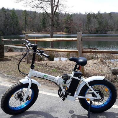 China City Folding Ebike Ecotric Electric Bicycle Small Men And Women Help Ultralight Folding Electric Bike for sale