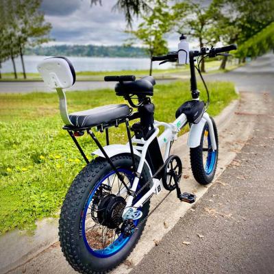 China Folding Ebike Ecotric 20