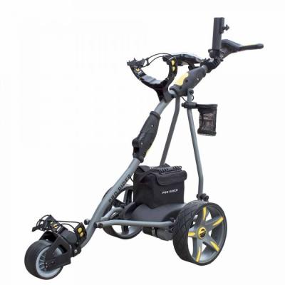 China China factory P1D3 electric golf cart hot sale electric golf cart lithium battery remote contrpl three wheel carts for sale