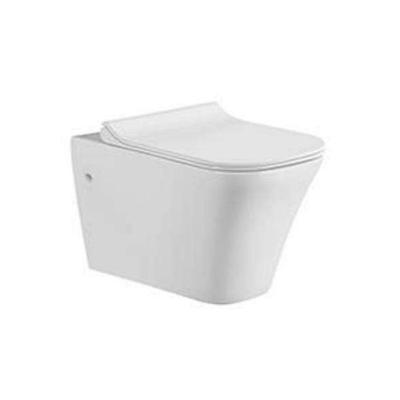 China Double-Flow Luxury Bathroom Wall Mounted Toilet Hidden Cistern WC Wall Mounted Toilet for sale