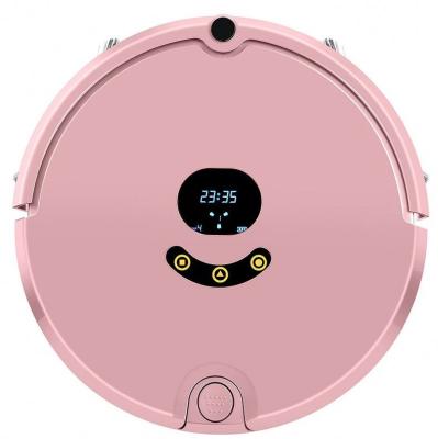 China New FR-S Hotel LCD Robot Vacuum Robot Vacuum Cleaner for sale