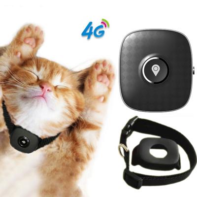 China Pet Safety Tracking Pet Gps Tracker 4G Collars Pet GPS Tracker Tracking Chip Real Time Puppy Cat Locator for sale