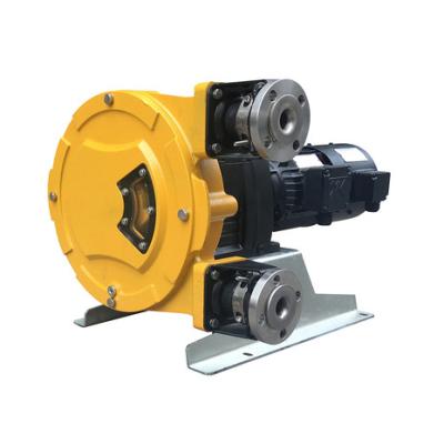 China Automotive Industry FK Series Hose Pump For Mine And Mining Pump for sale