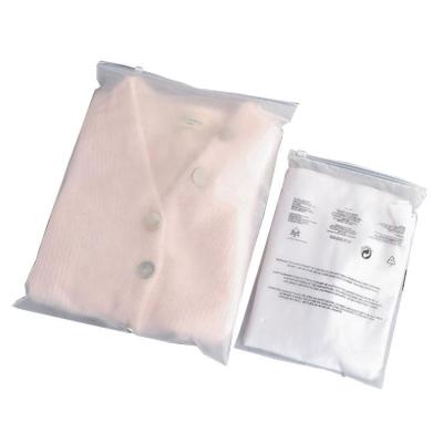 China Wholesale Customized Recyclable Logo PE Zipper Bag Inner Clothing Transparent Plastic Bag for sale