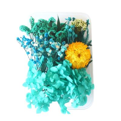 China Art Ornaments Natural Mix Dried Resin Flowers Decoration Natural Flower Dried Preserved Flowers For Candle Making for sale