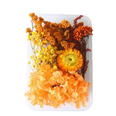 China Decoration Natural Flower Dried Flowers Diy Candle Soap Resins Art Mold Dried Flowers Natural Dry Flower For Resin Art for sale