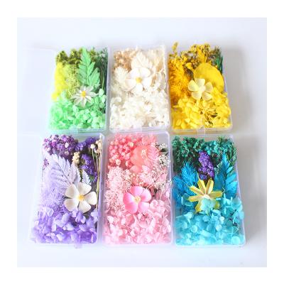 China Decoration Natural Flower 2023 Flower Plants Resin Dry Mixed Flower Box Diy New Dried Flowers For Candles for sale