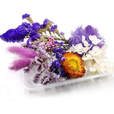 China Diy Flowers Craft Natural Random Eternal Decor Flower Material Flower Decoration Box Mixed Color Preserved Dried Plants Dried Flowers for sale