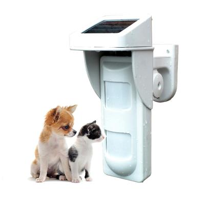 China 2018 best sale pir motion detector wall mounted pet solar immune outdoor wireless motion sensor for sale