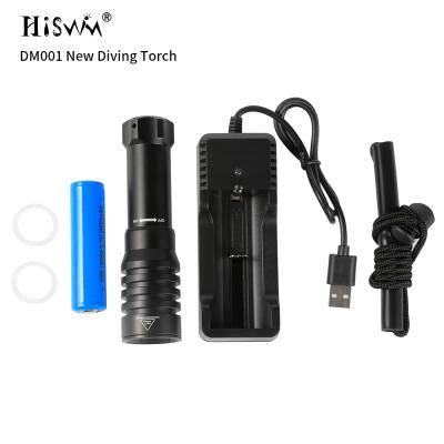 China Hiswim DM001 SST20 LED Torch Fishing Torch Fishing Light DM001-NEW 100m Waterproof 18650 Bright EDC Flashlight Rechargeable Lamp for sale