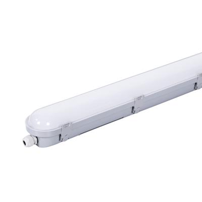 China Office (factory) led batten light replacement tri-proof tube 1.2m LED light fittings for sale