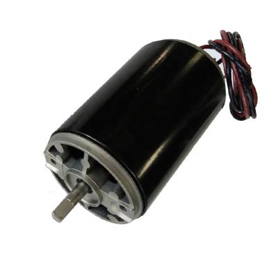 China Waterproof High Speed ​​Electric Rpm DC Motor Manufacturers 12v 20000rpm Micro 30000rpm 25000rpm 14000 12000rpm 10000rpm 8000rpm 6000rpm for sale