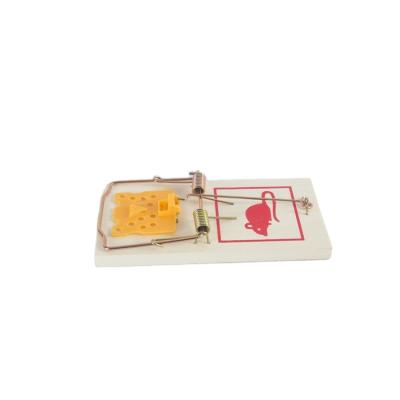 China Disposable Wooden Mouse Trap Small Portable Mouse Trap Strong Fast Action Rat Trap for sale