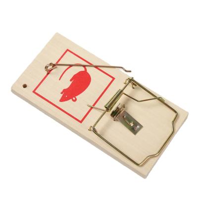 China Disposable Jumbo Deadly Snapshot Trap Classic Deadly Rat Killer Rat Wooden Mice Trap for sale