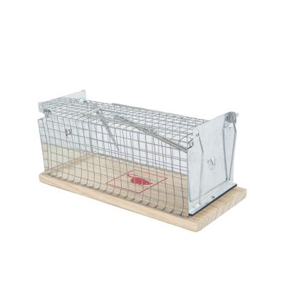 China Europe Garden Rodent Control Disposable Live Hook Wooden Rat Trap No Kill Mouse Cage Trap Rodent Trap for sale