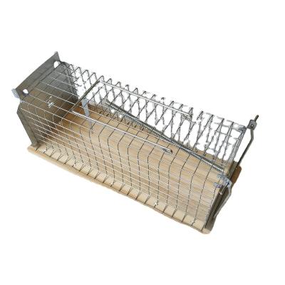 China Large Size Disposable Reusable Rat Cage Rodent Cage Metal Hook Mouse Trap Wooden Mouse Trap for sale