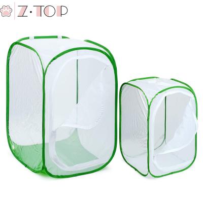 China Various Sizes Breathable Garden Pop Up Portable Insect and Butterfly Mantis Habitat Mesh Cage Mini Greenhouse Cage Seedling Incubator Box for sale