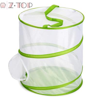 China Large Breathable Greenhouse Automatic Butterfly Growing Mesh Insect Butterfly Habitat Cage Kit Breeding Observation Box for sale