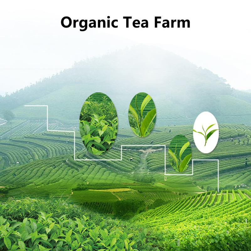 Verified China supplier - Guangzhou Runming Tea Co., Ltd.