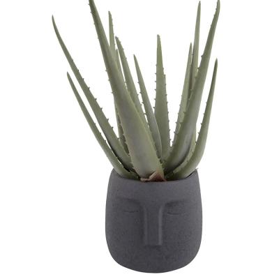 China Contemporary Human Face Ceramic Cactus Flowerpot Garden Succulent Pots For Plants Ceramics for sale