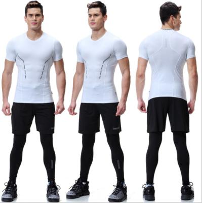 China Anti-wrinkle summer sports fitness suit men's quick-drying short-sleeved clothes wear breathable sweat-absorbent T-shirt gym two-piece sets for sale