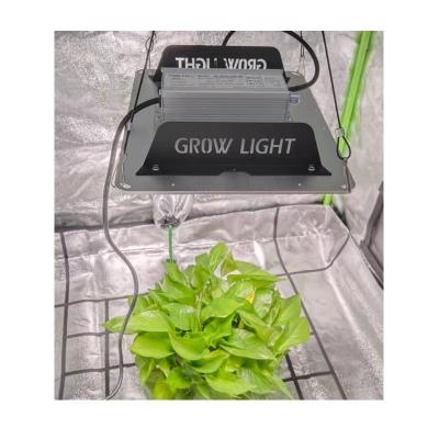 China Seed Starting 100W 200W 400W Quantum Led Plant Grow Lamp Panel Grow Light For Commercial And Home Growing for sale