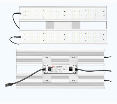 China Seed starting 160W V3 bar quantum led grow light/320w Samsung panel led grow light for herbal medicine for sale