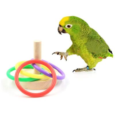 China Stocked Parakeet Small Medium Parrot Puzzle Toy Bird Intelligence Training Ring Toy Bird Educational Toy for sale