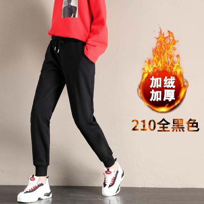 China D210F new viable women's plush lace plush lace custom hot pants loose cotton slapped pants logo casual pants custom guard for sale