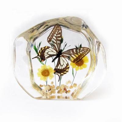 China Handmade transparent acrylic home decoration pretty festival decoration butterfly gifts for sale