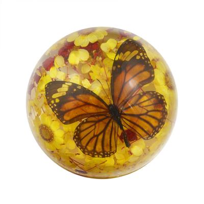 China Half-dome acrylic home decoration festival decoration real butterfly attractive wedding decorative for sale