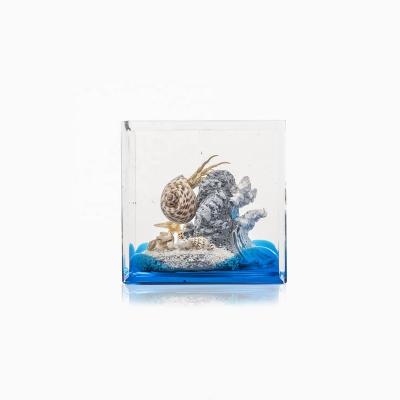 China New Design Natural Marine Scene Decoration with Aquarium Turtle Souvenirs for sale