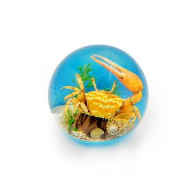 China Marine Scene Globe Acrylic New Products 60mm Diameter Acrylic Blue Color Sphere Decor for sale