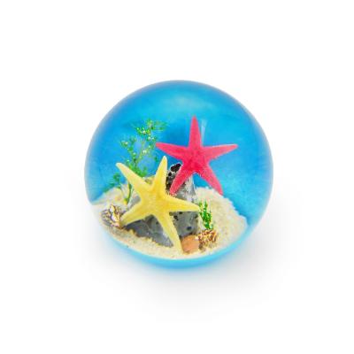 China Newest Souvenir Souvenir Wholesale Globe Marine Acrylic Global With Real Starfish for sale