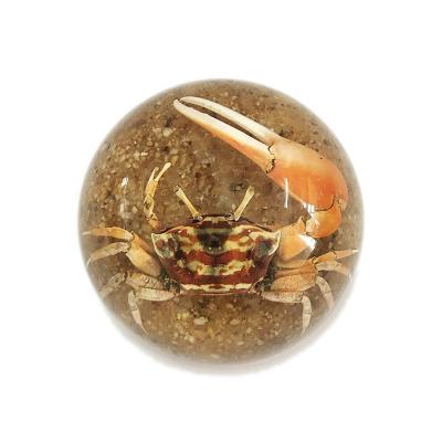 China Aquarium Fiddler Crab Hemisphere Acrylic Decor Handmade Special Souvenir for sale