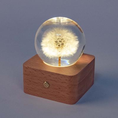 China Wholesale Natural Resin Ball Flower LED Night Light With Real Dandelion for sale