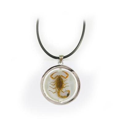 China Latest Natural Design Cool Style Pendant 25mm Resin Ball Necklace For Insect Specimen Lover for sale