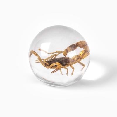 China Creactivated Natural Specimen of Crystal Ball With Real Scorpion and Desktop Safe Decoration for sale