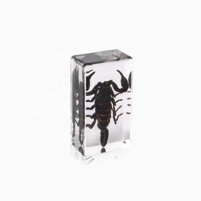 China Natural High Quality Clear Resin Book Paperweight Rectangle Shaped Decoration Insect Specimen Included for sale