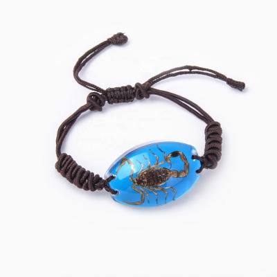 China Souvenir Unique Fresh Personalize Real Insect Resin Bracelet Jewelry Souvenir Insect Bracelet for sale