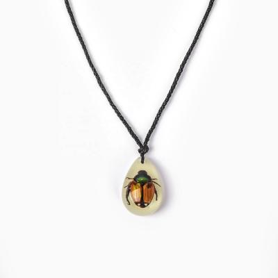 China Natural Water Drop Shaped Real Insect Resin Acrylic Pendant Necklace For Boys for sale